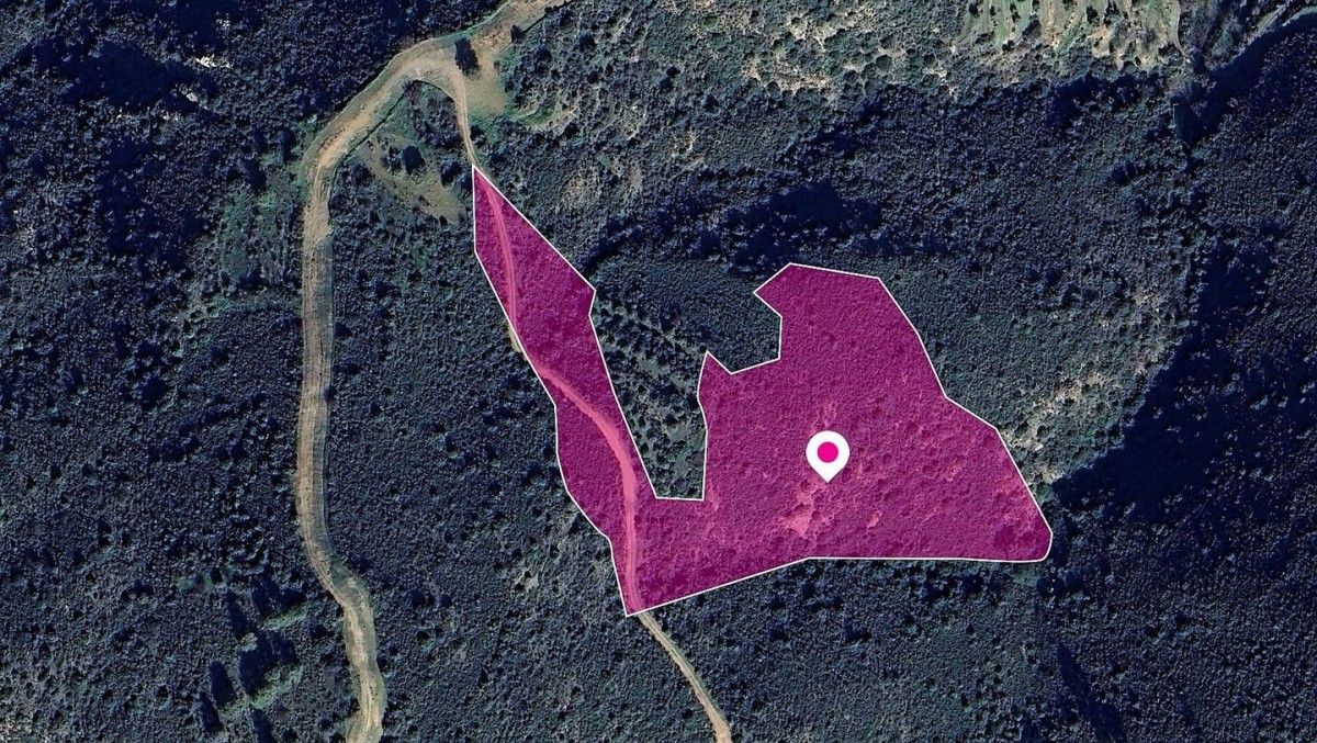 Special Protection Field in Lageia, Larnaca