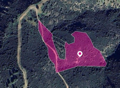 Lageia, Larnaca Agricultural Field For Sale | WW29647