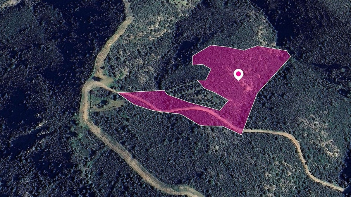 Special Protection Field in Lageia, Larnaca