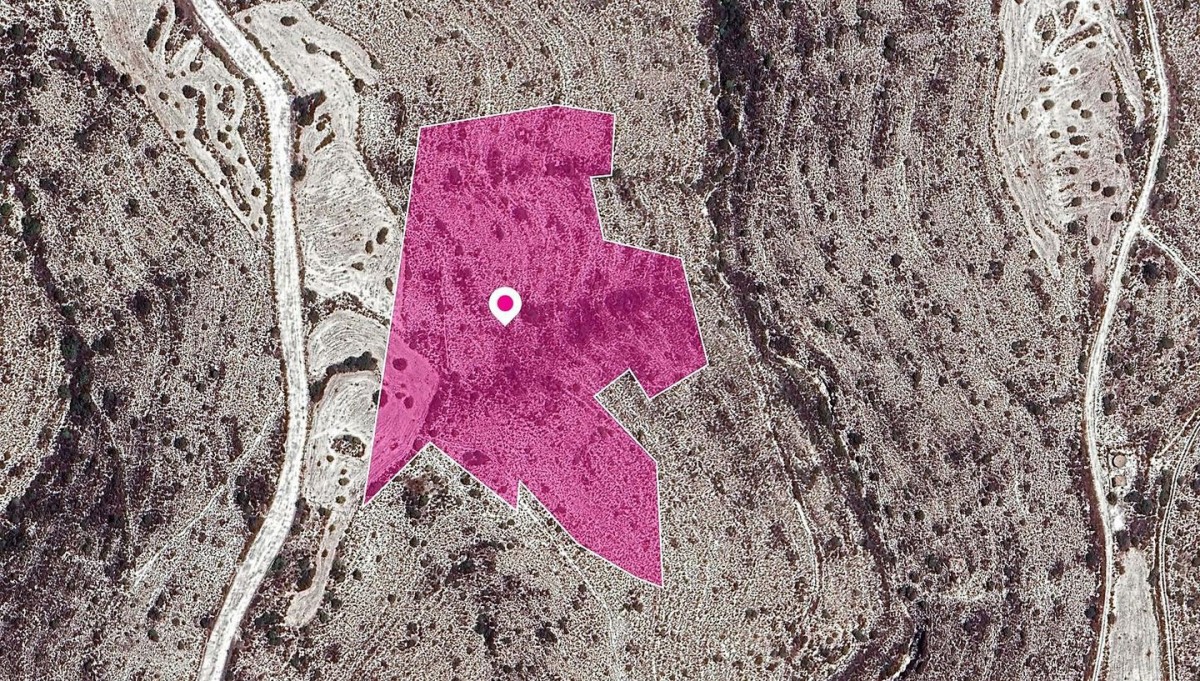 Kato Drys, Larnaca Agricultural Field For Sale | WW29648