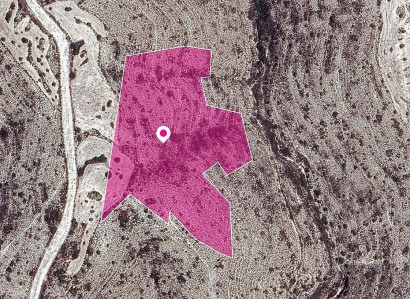 Kato Drys, Larnaca Agricultural Field For Sale | WW29648