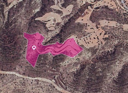 Ayios Theodoros Agricultural Field For Sale | WW29649