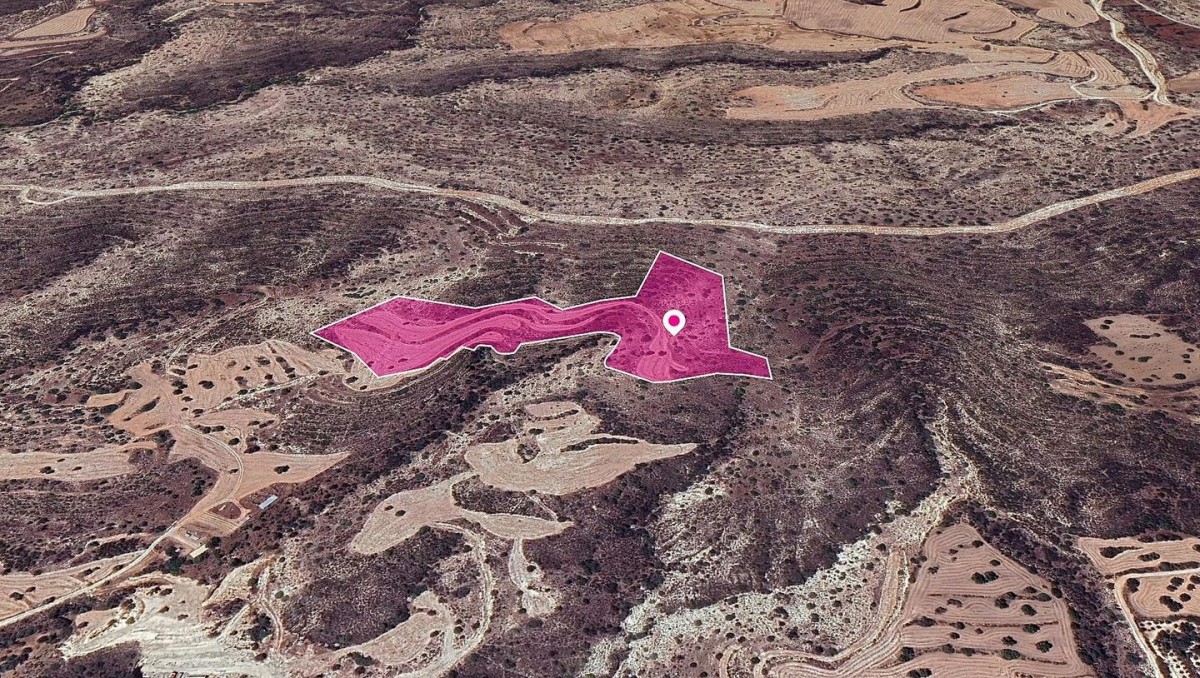 Share of a Field in Agios Theodoros, Laranca