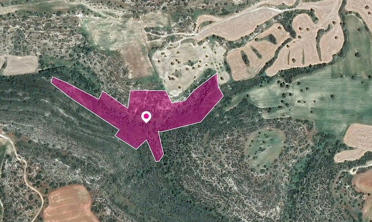 Ayios Theodoros Agricultural Field For Sale | WW29650