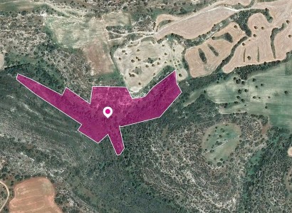 Ayios Theodoros Agricultural Field For Sale | WW29650