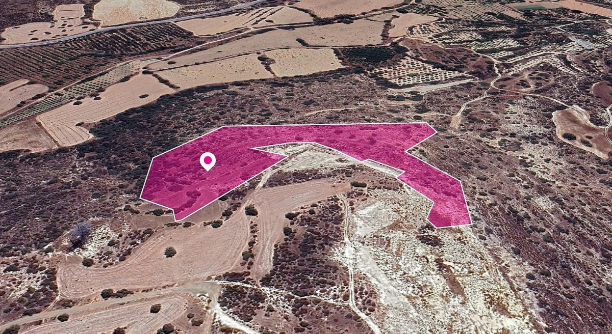 Skarinou, Larnaca Agricultural Field For Sale | WW29651