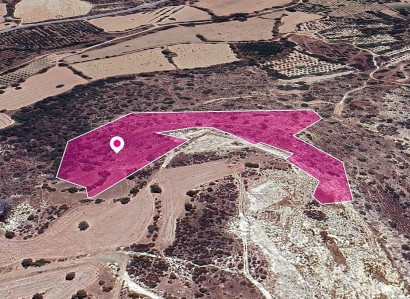 Skarinou, Larnaca Agricultural Field For Sale | WW29651