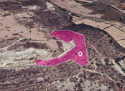 Skarinou, Larnaca Agricultural Field For Sale | WW29651