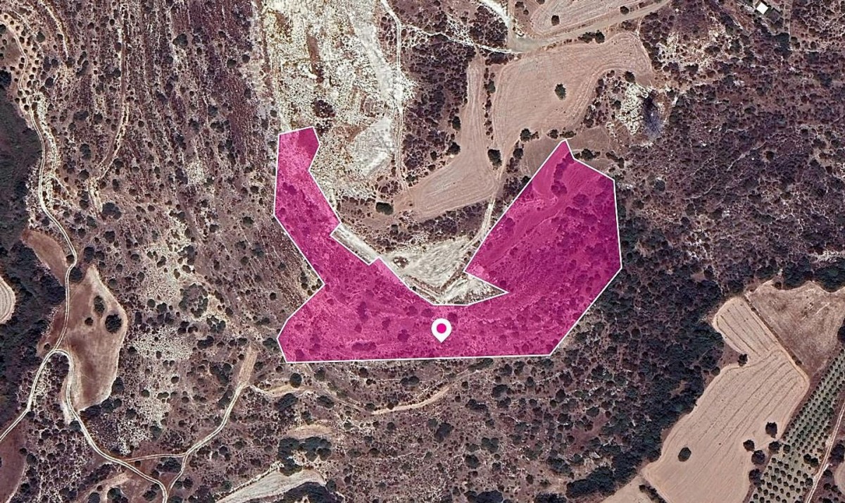 Agricultural Field in Skarinou, Larnaca
