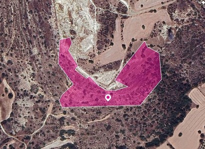 Skarinou, Larnaca Agricultural Field For Sale | WW29651