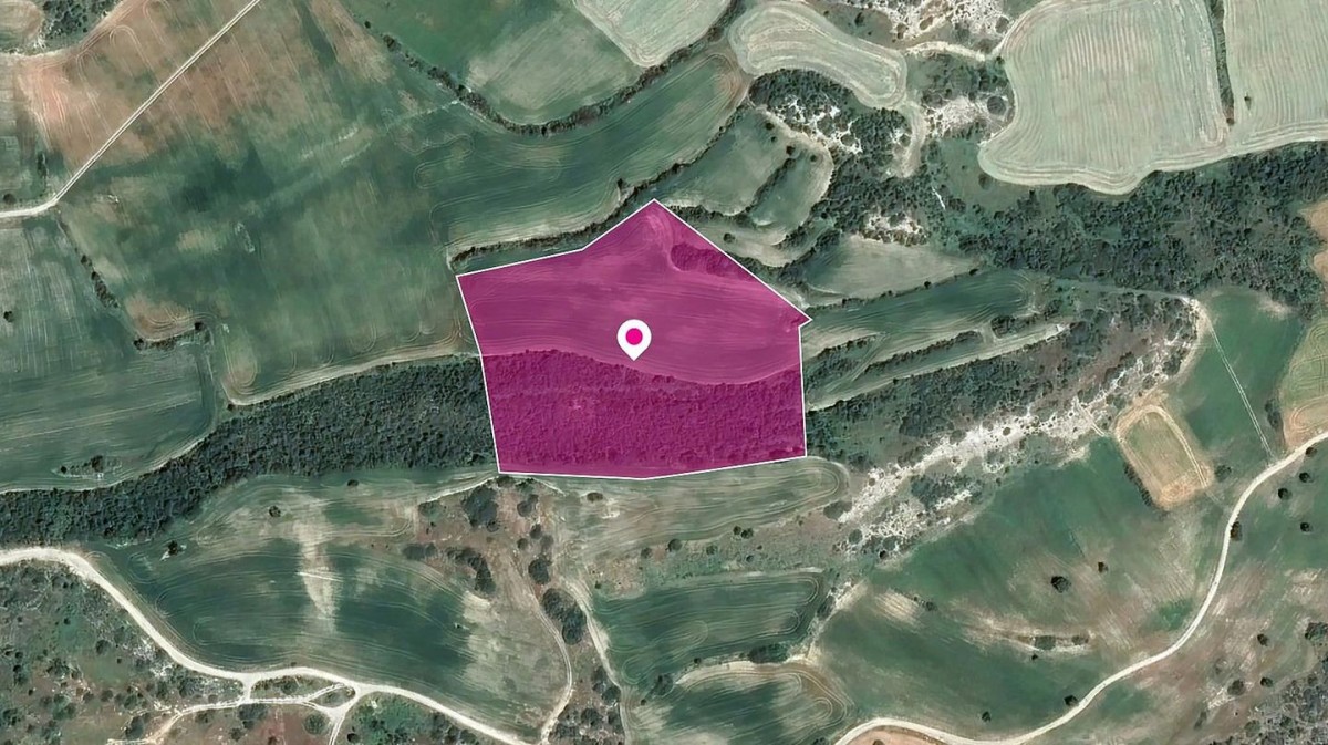 Ayios Theodoros Agricultural Field For Sale | WW29652