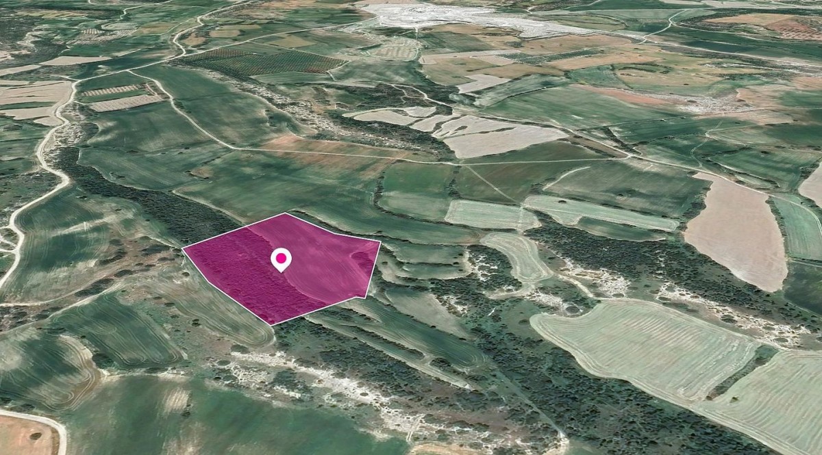 Agricultural Field in Agios Theodoros, Laranca