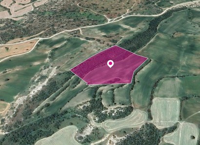 Ayios Theodoros Agricultural Field For Sale | WW29652