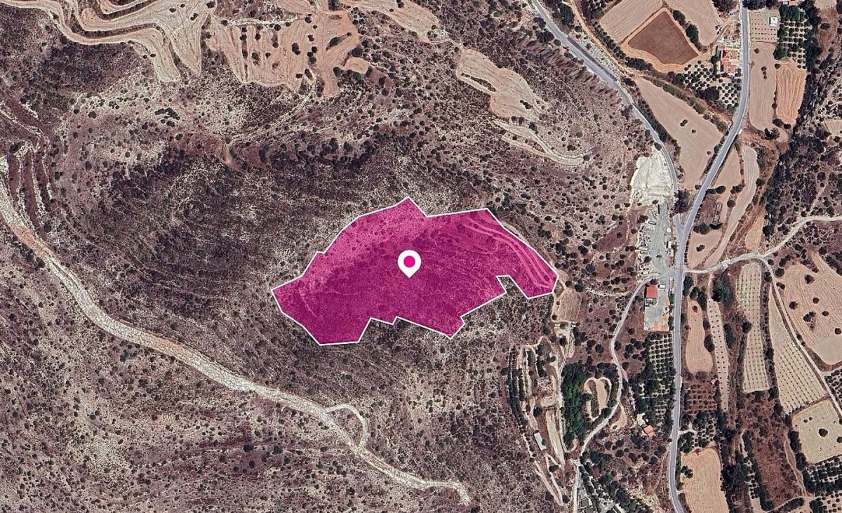 Ayios Theodoros Agricultural Field For Sale | WW29655