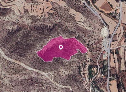 Ayios Theodoros Agricultural Field For Sale | WW29655