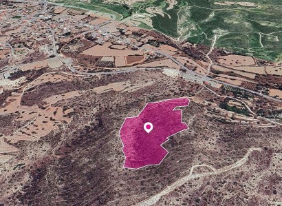 Ayios Theodoros Agricultural Field For Sale | WW29655