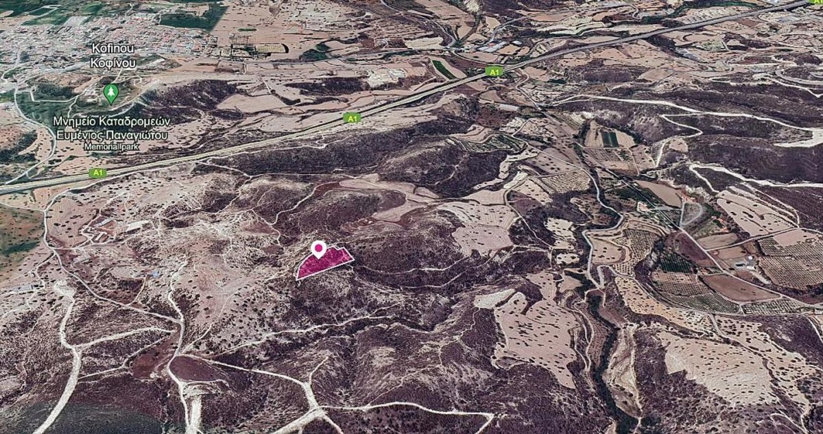 Agricultural Field in Skarinou, Larnaca