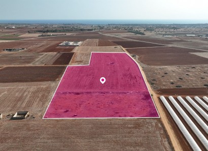 Ormideia, Larnaca Agricultural Field For Sale | WW29665