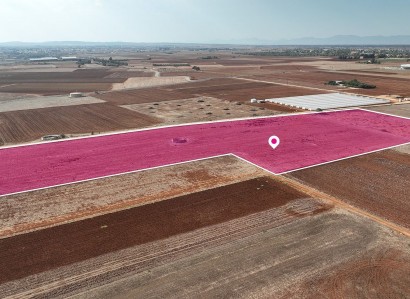 Ormideia, Larnaca Agricultural Field For Sale | WW29665