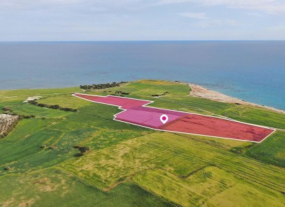 Mazotos, Larnaca Touristic Field For Sale | WW29666