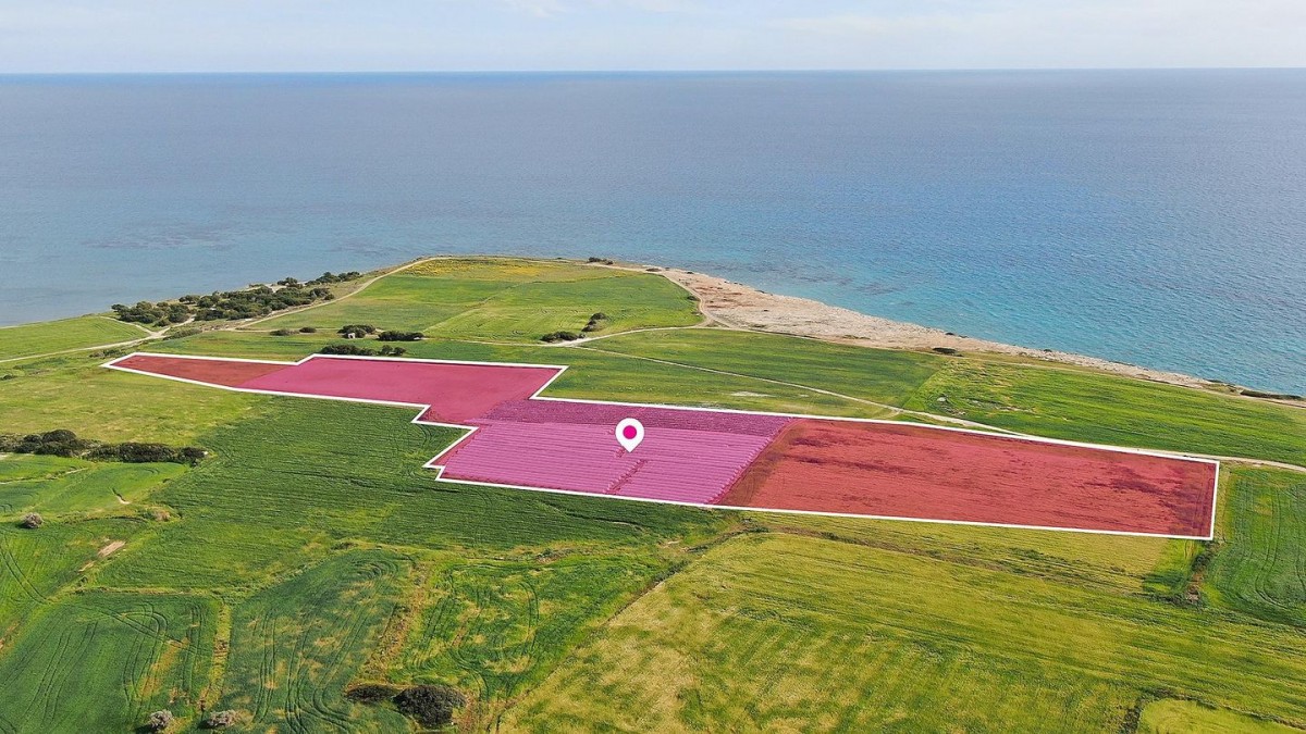 Seaview Field in Mazotos, Larnaca