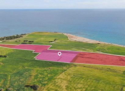 Mazotos, Larnaca Touristic Field For Sale | WW29666