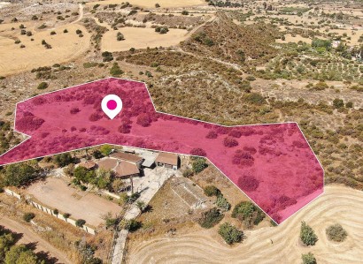 Choirokoitia, Larnaca Residential Field For Sale | WW29667