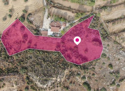 Choirokoitia, Larnaca Residential Field For Sale | WW29667
