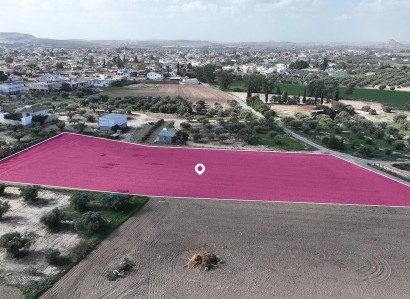 Athienou, Larnaca Residential Field For Sale | WW29669
