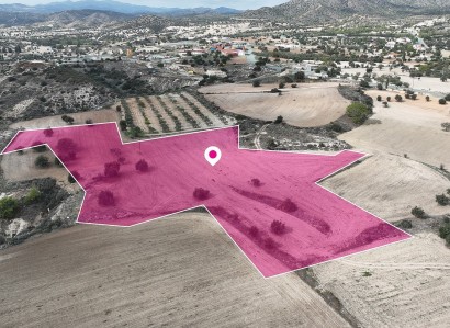Anglisides, Larnaca Residential Field For Sale | WW29673