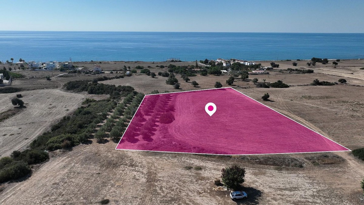Ayios Theodoros, Larnaca Touristic Field For Sale | WW29682
