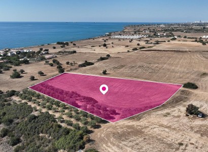 Ayios Theodoros, Larnaca Touristic Field For Sale | WW29682