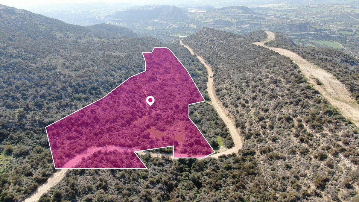 Psematismenos Agricultural Field For Sale | WW29692