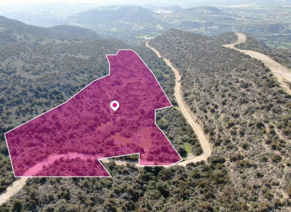 Psematismenos Agricultural Field For Sale | WW29692