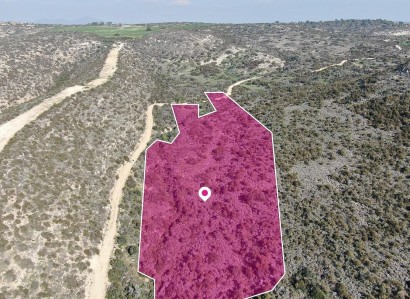 Psematismenos Agricultural Field For Sale | WW29692