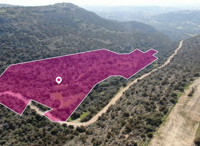 Psematismenos Agricultural Field For Sale | WW29692