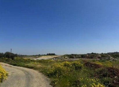 Tseri, Nicosia Agricultural Field For Sale | WW29758