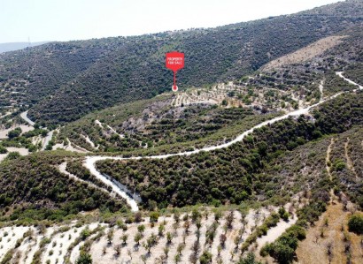 Laneia, Limassol Agricultural Field For Sale | WW29762