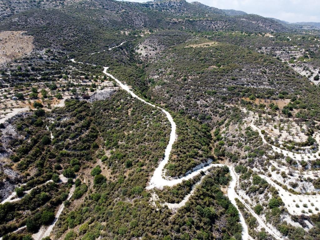 Field - Laneia, Limassol