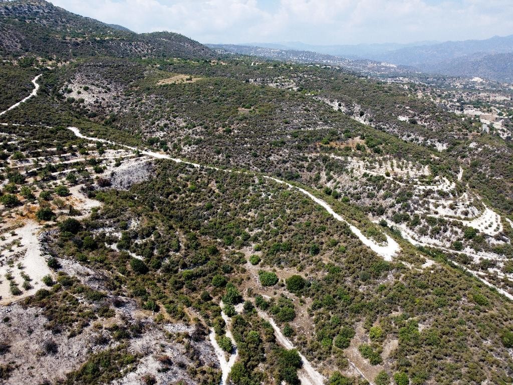 Field - Laneia, Limassol