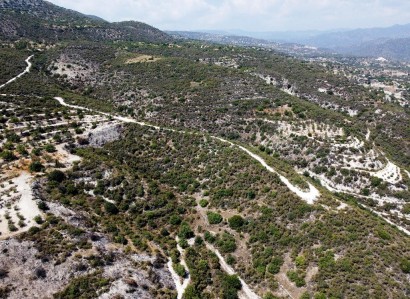 Laneia, Limassol Agricultural Field For Sale | WW29762