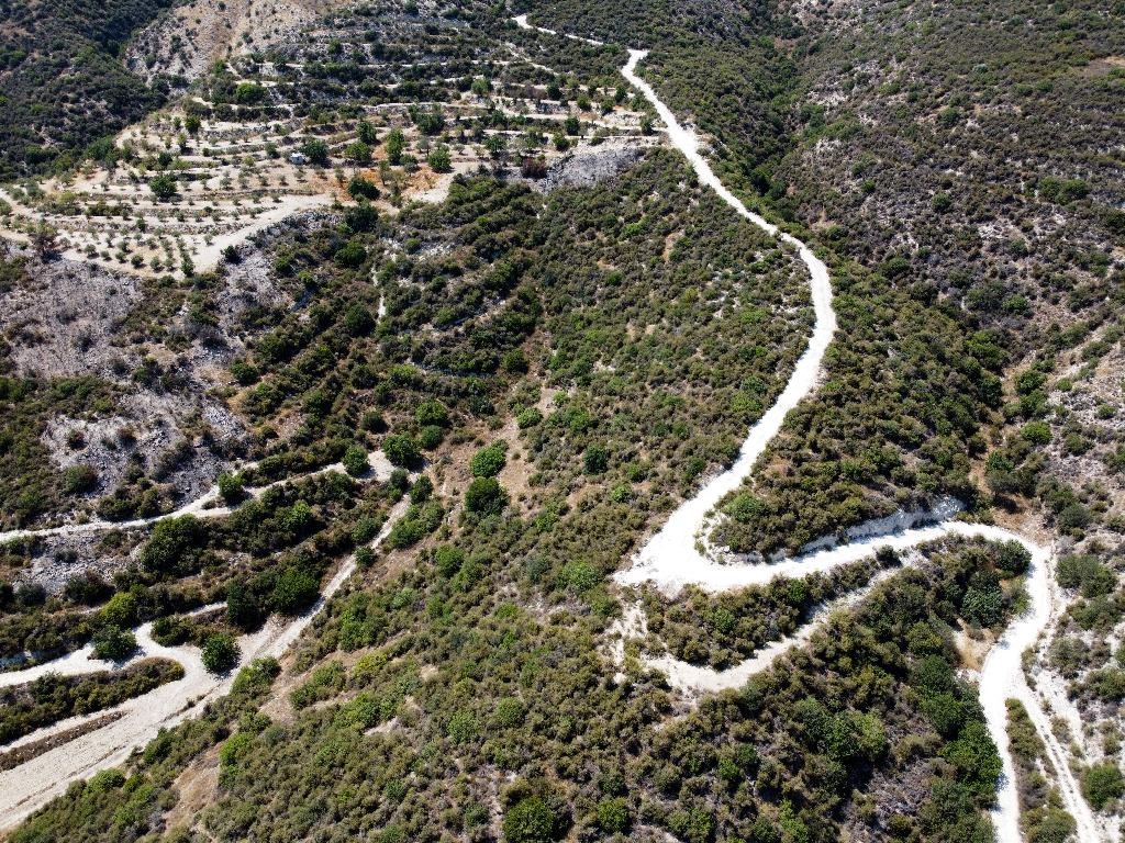 Field - Laneia, Limassol