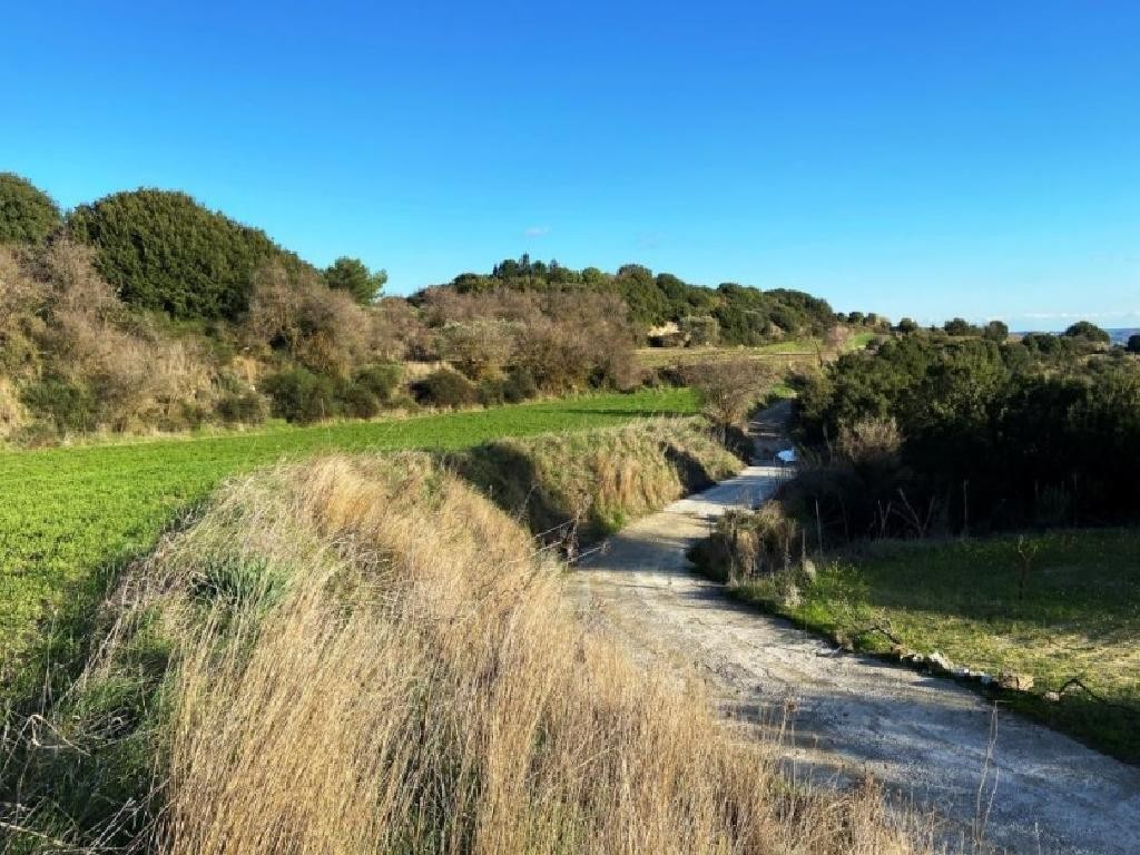 Polemi, Paphos Agricultural Field For Sale | WW29789