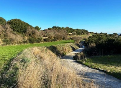 Polemi, Paphos Agricultural Field For Sale | WW29789