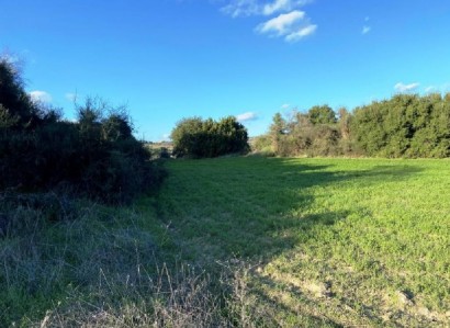 Polemi, Paphos Agricultural Field For Sale | WW29789