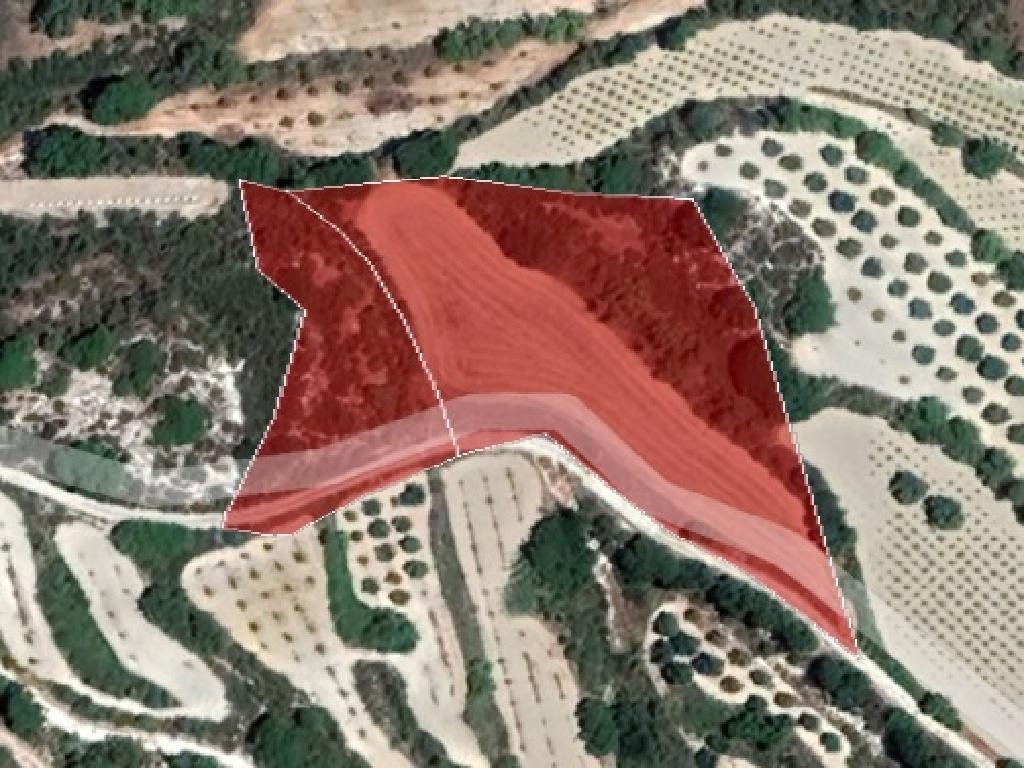 Field - Polemi, Paphos