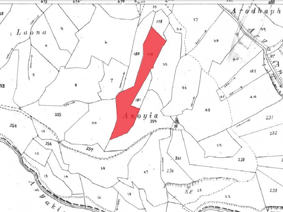 Field - Kallepeia, Paphos