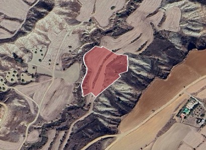 Pera Chorio, Nicosia Agricultural Field For Sale | WW29869