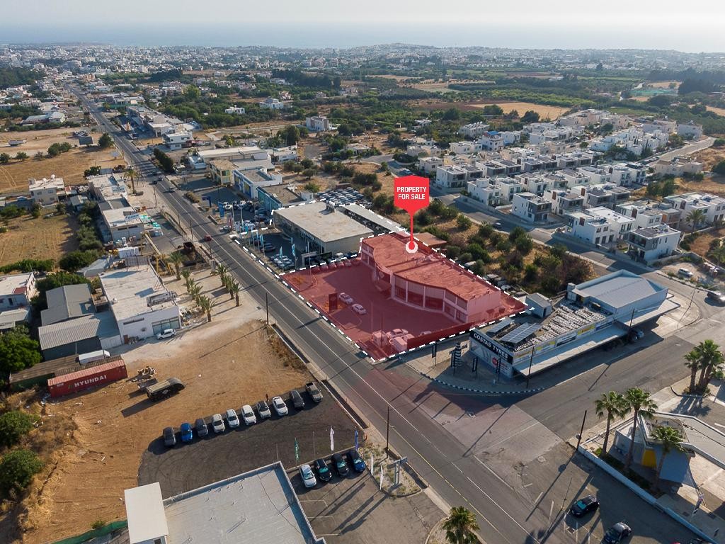 Commercial Building For Sale  in  Mesogi