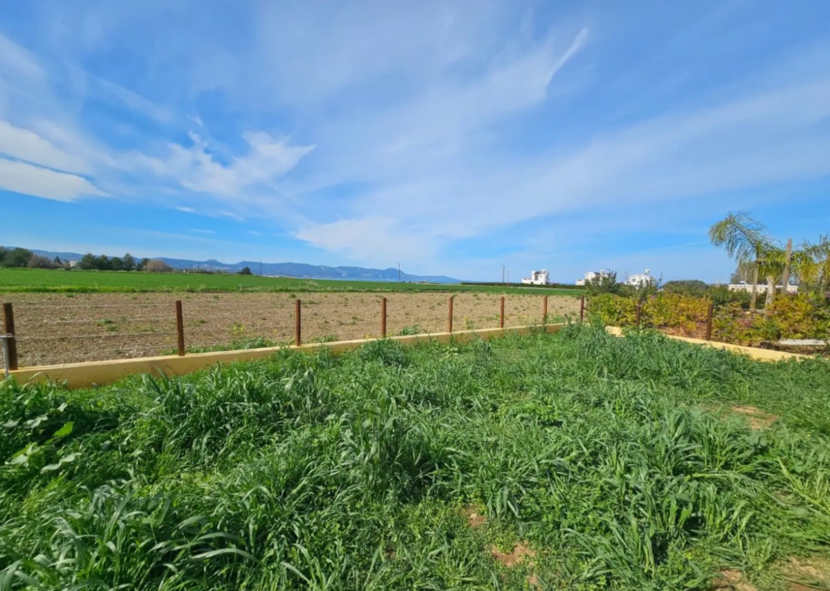 Detached Villa For Sale  in  Polis Chrysochous